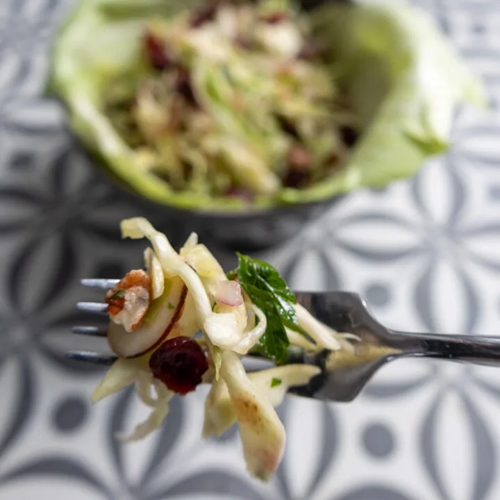 cabbage slaw on a fork